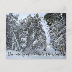 Carte Postale Rêver d'un Noël blanc