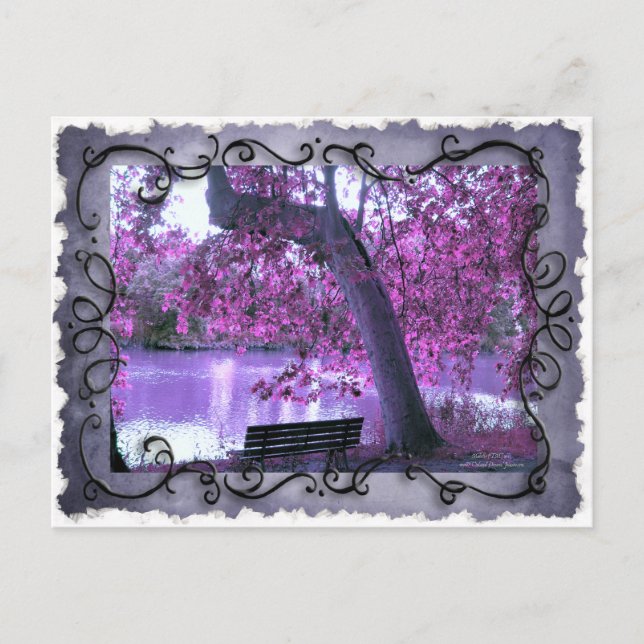 Carte Postale Reverie (personnalisable) (Devant)