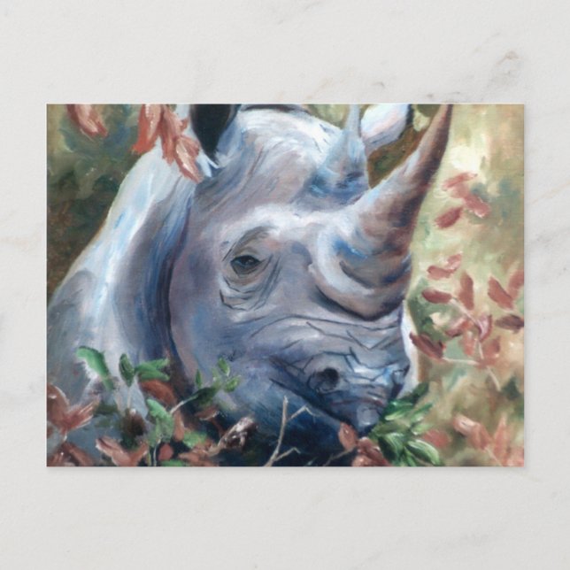 Carte postale Rhino (Devant)