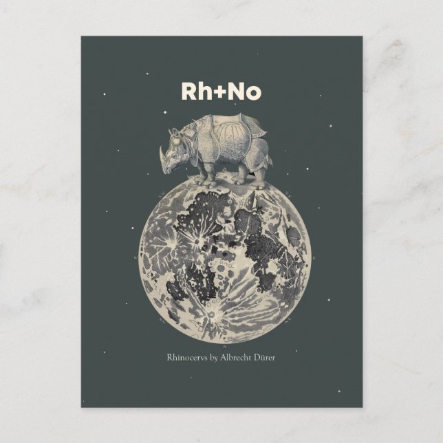 Carte Postale Rhino (Devant)