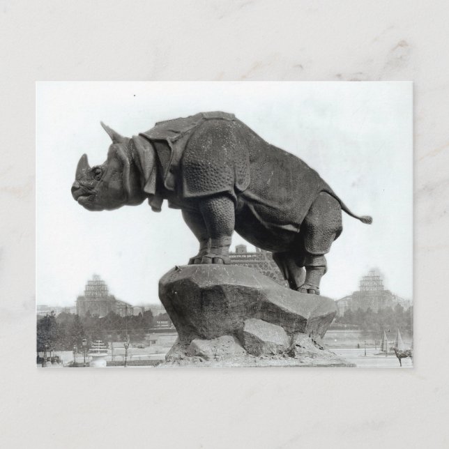 Carte Postale Rhinocéros (Devant)