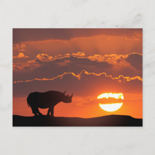Carte Postale Rhinocéros au coucher du soleil, Masai Mara, Kenya