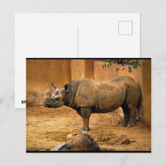 Carte Postale Rhinocéros Dos Au Mur