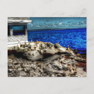 Carte Postale Rhode Island, photo de Narragansett