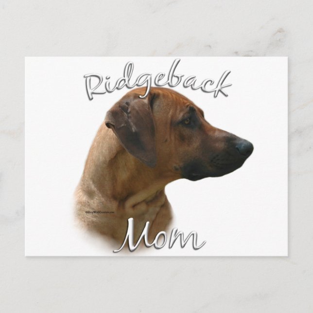 Carte Postale Rhodesian Ridgeback Maman 2 (Devant)