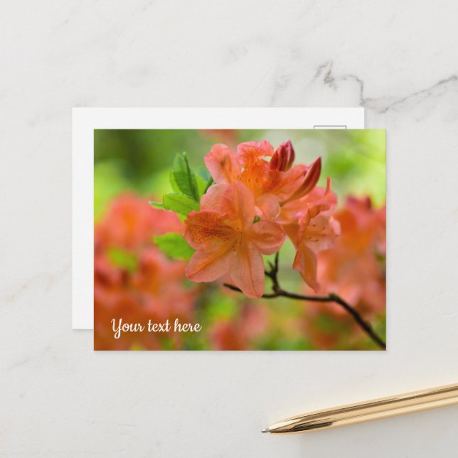 Carte postale Rhododendron orange (Devant/Arrière en situation)