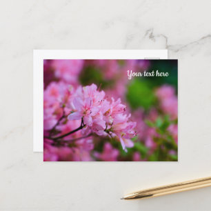Carte postale Rhododendron rose