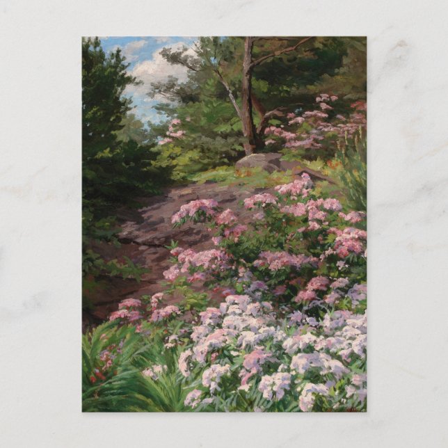 Carte Postale Rhododendron rose et blanc | Thomas Allen, Jr. (Devant)