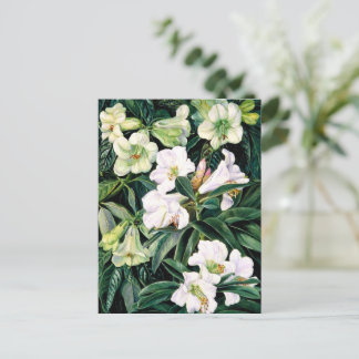 Carte Postale Rhododendrons d'Inde du Nord