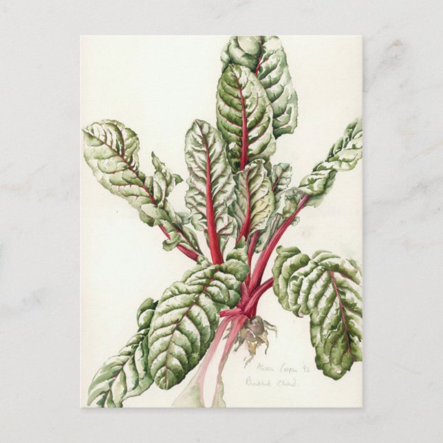 Carte Postale Rhubarb Chard 1992 (Devant)