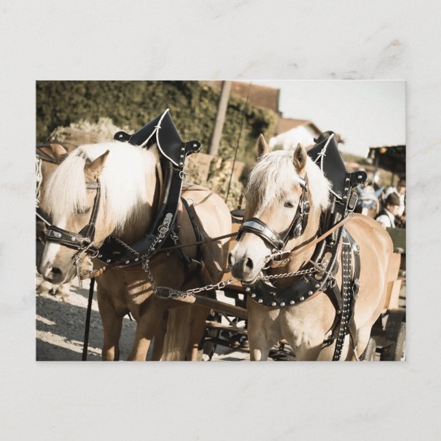 CARTE POSTALE RHUMER DE LA FÊTE D'AUTOMNE DE LA HAYE (Devant)