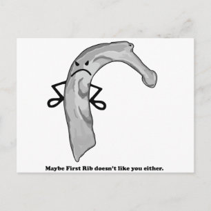 Carte Postale Rib