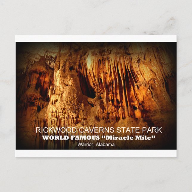 CARTE POSTALE RICKWOOD CAVERNS STAPARK - WARRIOR, ALABAMA (Devant)