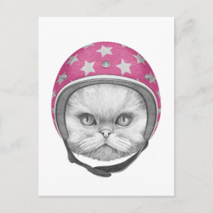 Carte Postale Rider en moto chats perse