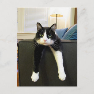 Carte Postale Rien à faire