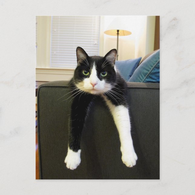 Carte Postale Rien à faire (Devant)