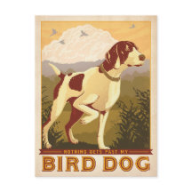 Rien ne passe mon chien