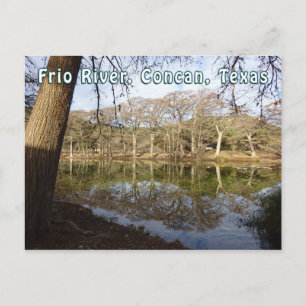 Carte Postale Rio Frio River Concan Texas Garner State Park Tree
