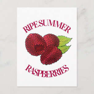Carte Postale Ripe Fruit Fruit Fruit Fruit Fruit Fruit Été Fraîc