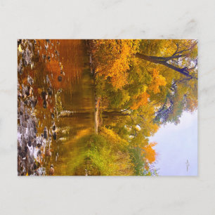Carte Postale Rivage d'automne