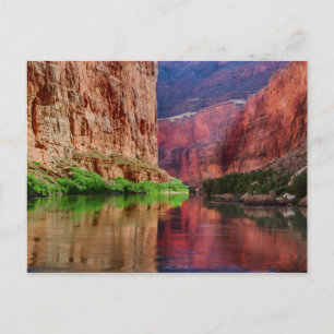 Carte Postale Rivière Colorado en Grand Canyon, AZ