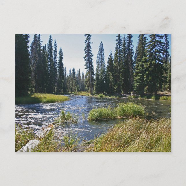 Carte Postale Rivière Deschutes au lac Little Lava, Oregon (Devant)