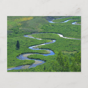 Carte Postale Rivière East près de la ville de Crested Butte.