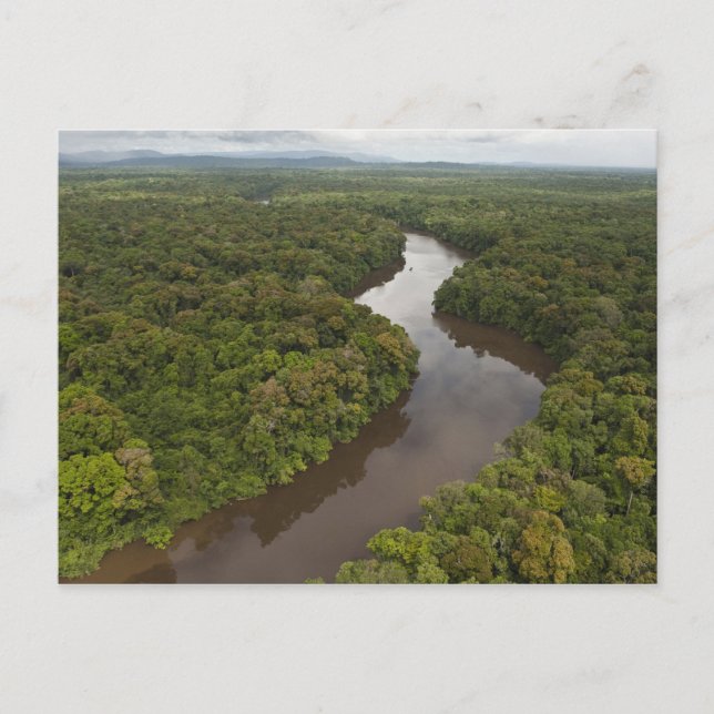 Carte Postale Rivière Essequibo, rivière la plus longue du Guyan (Devant)