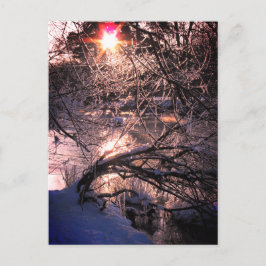 Carte Postale Rivière Hafren / Severn en hiver