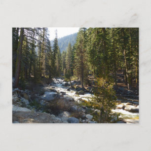 Carte Postale Rivière Kaweah dans le parc national de Sequoia