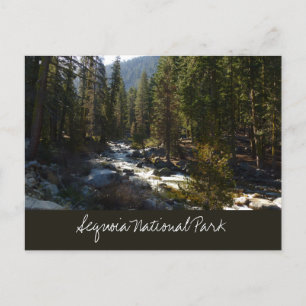 Carte Postale Rivière Kaweah dans le parc national de Sequoia