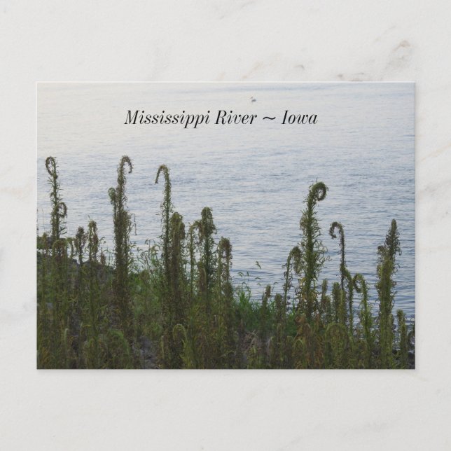 Carte Postale Rivière Mississippi, à Dubuque Iowa Keepsaké (Devant)