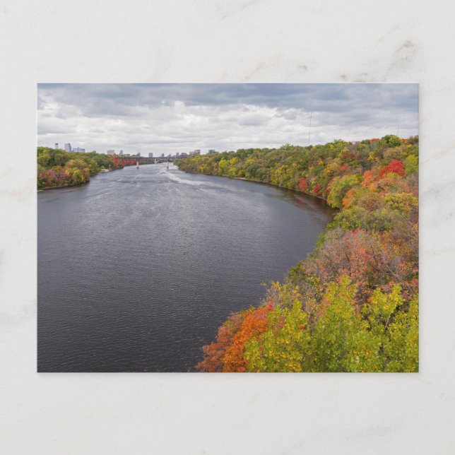 Carte Postale rivière mississippi et rives boisées à minneapolis (Devant)