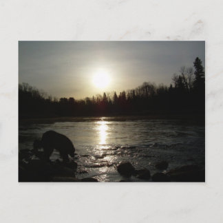 Carte Postale Rivière Mississippi - Réflexion du lever du soleil