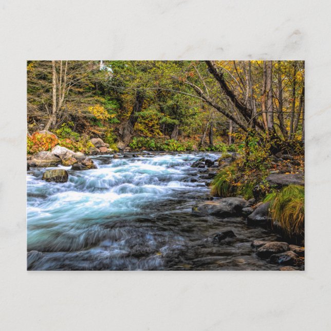 CARTE POSTALE RIVIÈRE SACRAMENTO (Devant)