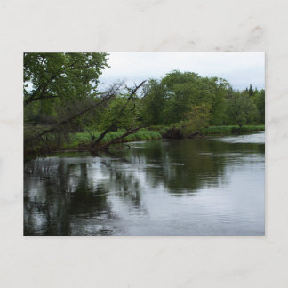 Carte Postale "Rivière Saranac" Photo de la rivière et des arbre