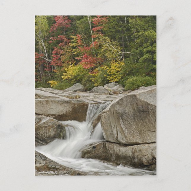Carte Postale Rivière Swift passant à travers des rochers, Blanc (Devant)