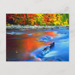Carte Postale Rivière Swift reflétant les couleurs de l'automne