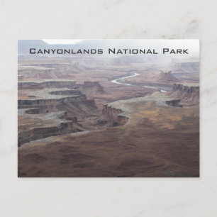 Carte Postale Rivière verte