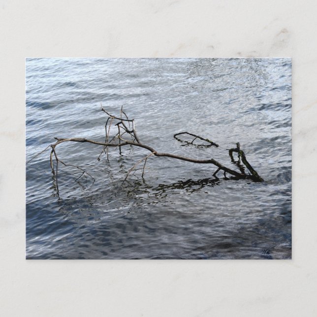 Carte Postale Rivière, Vie morte (Devant)