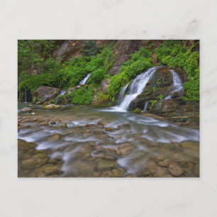 Carte Postale Rivière Vierge Big Springs Parc national de Zion