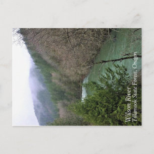 Carte Postale Rivière Wilson, OU