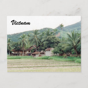 Carte Postale rizières du vietnam