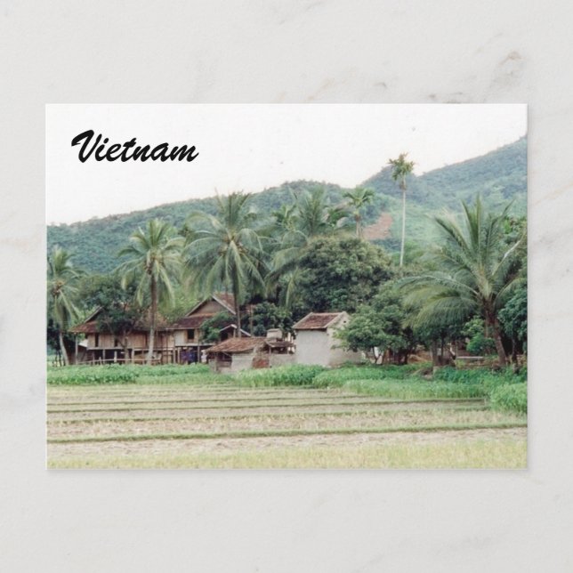 Carte Postale rizières du vietnam (Devant)