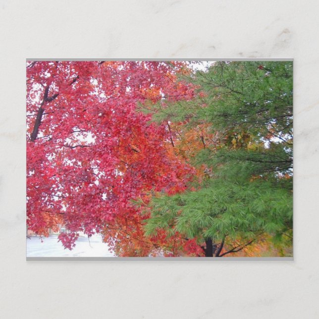 Carte Postale robe (pour s'adapter à l'humeur) (Devant)