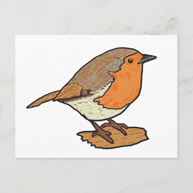 Carte Postale Robin (Devant)