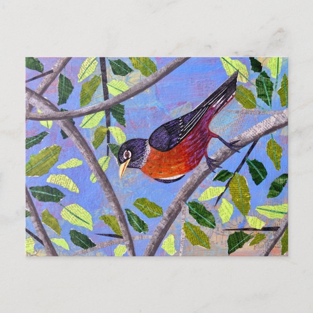 Carte Postale Robin (Devant)