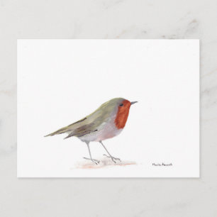 Carte Postale Robin