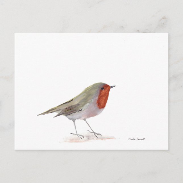 Carte Postale Robin (Devant)