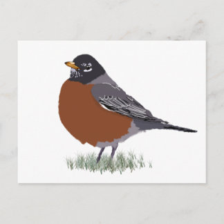 Carte Postale Robin américain à poitrine rouge Numériquement des